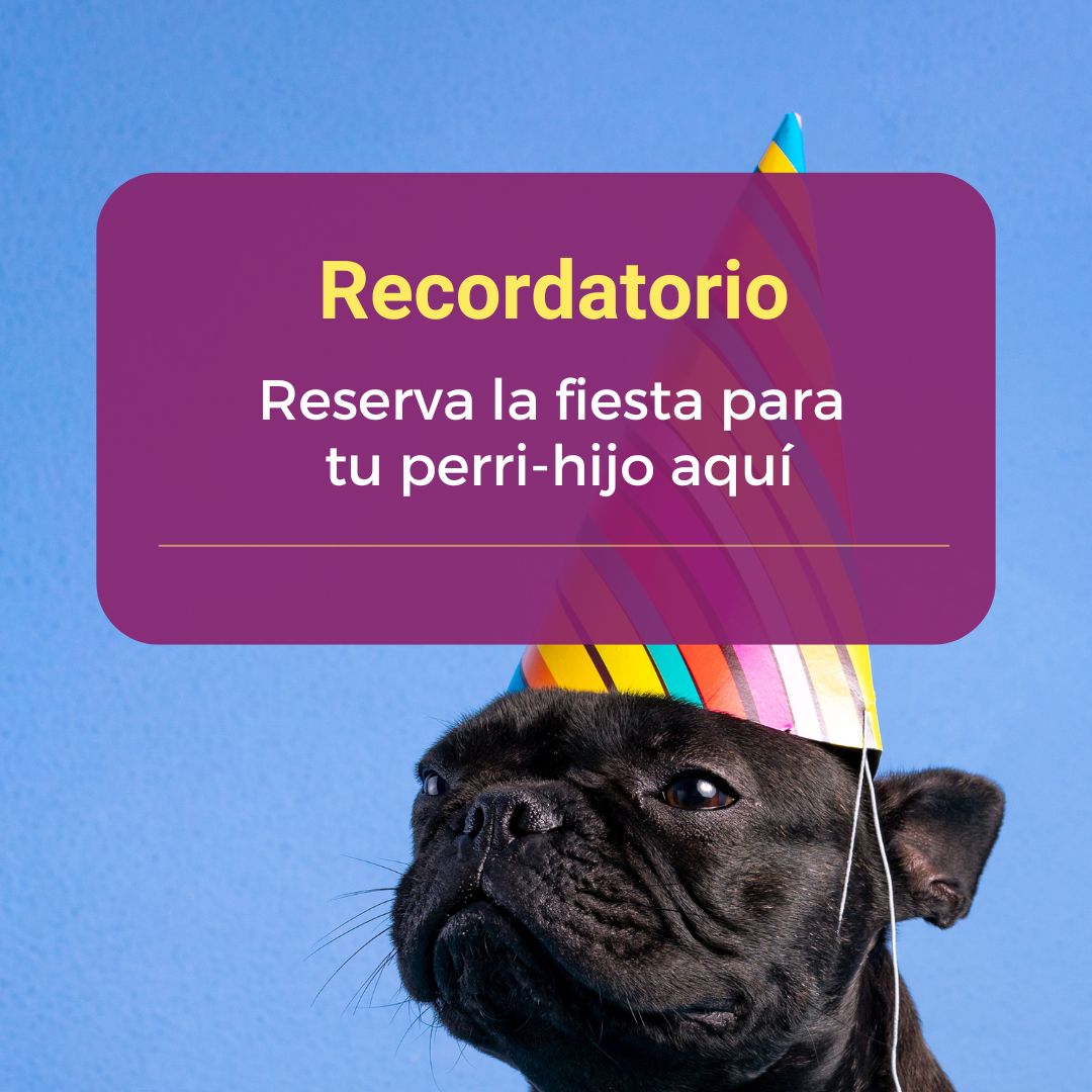Reserva tu fiesta