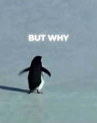 Descriptive alt text