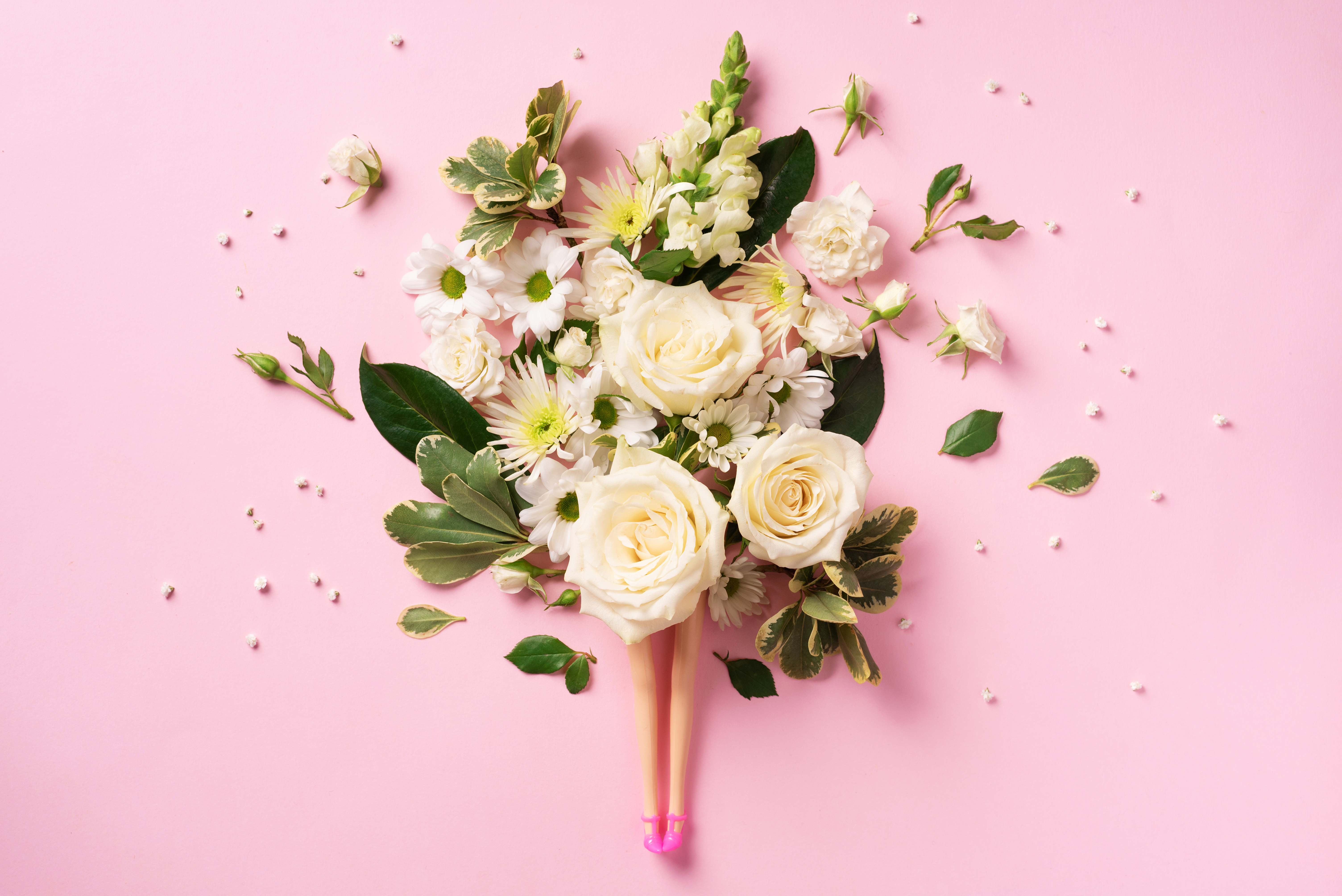 Flores del Sur profile image