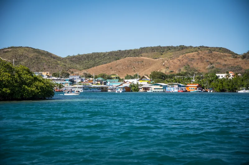 La Parguera profile image